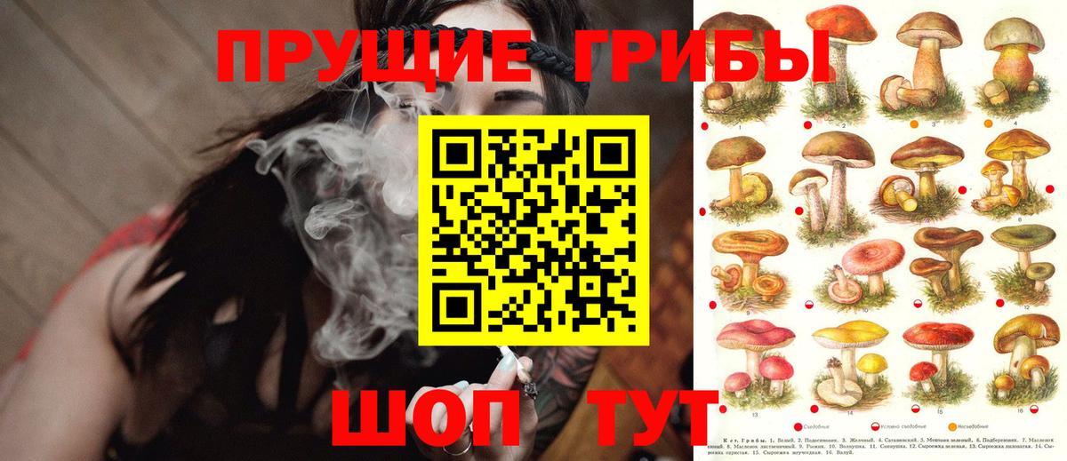 Галлюциногенные грибы прущие грибы  Вход с VPN  Кохма 