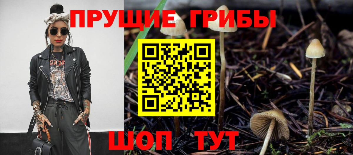Галлюциногенные грибы Psilocybine cubensis Кохма